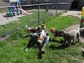 afb_20160502 (39)